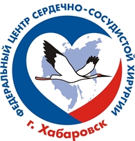 Специалисты ФЦССХ посетили город Николаевск-на-Амуре