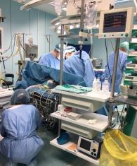 Группа докторов ФЦССХ г. Хабаровска прошла обучение трансплантации сердца